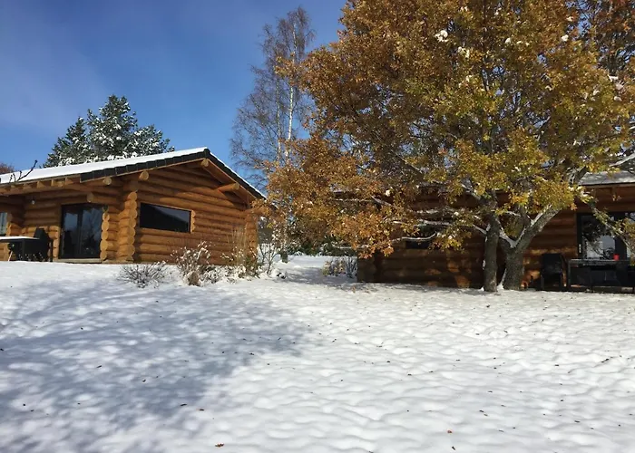 Reves De Bois