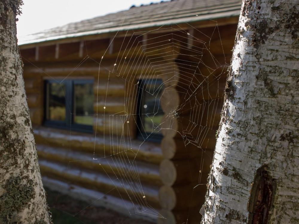 Chalet Reves De Bois *