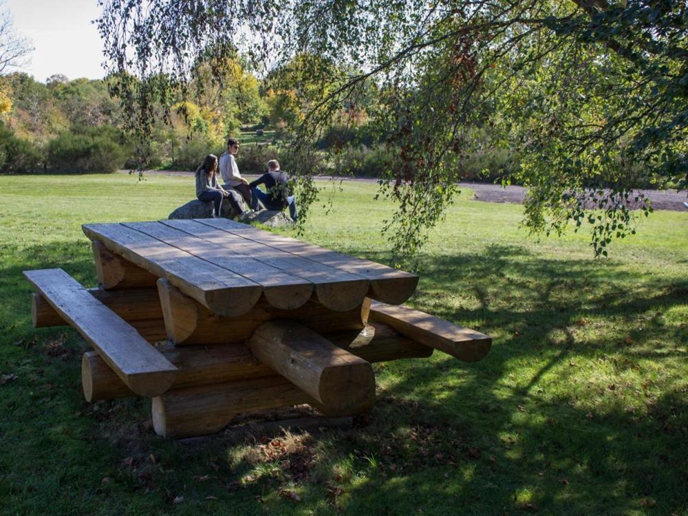 Chalet Reves De Bois Loubeyrat