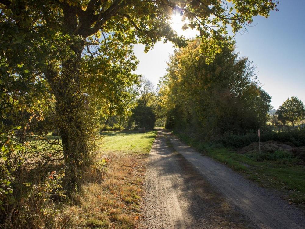 Reves De Bois