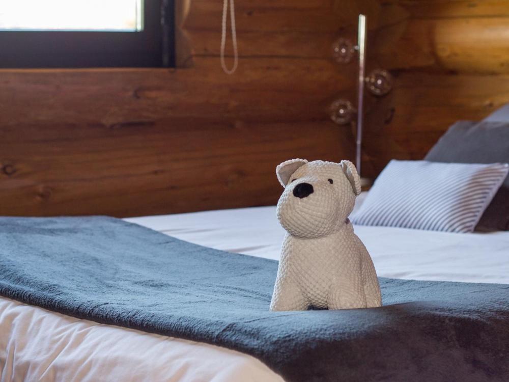 Reves De Bois Chalet *